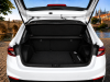 246er_fabia_monte_carlo_lr.png